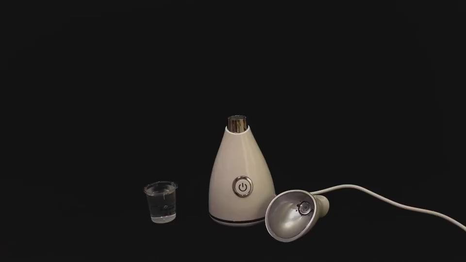 Facial steamer